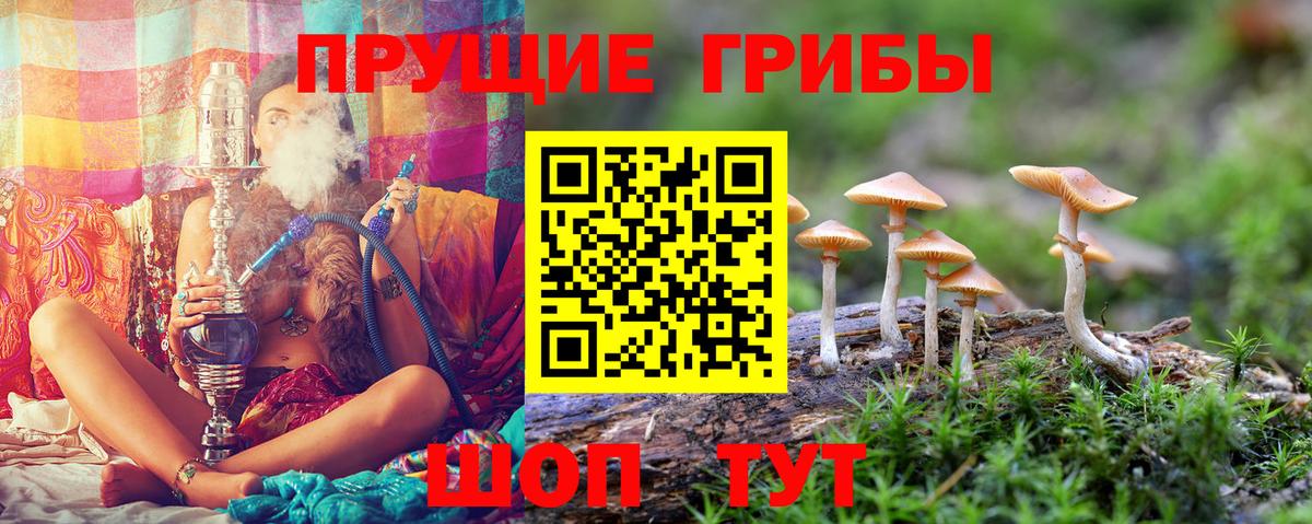 Шатура  Псилоцибиновые грибы Psilocybine cubensis  Псилоцибиновые грибы GOLDEN TEACHER  Вход с VPN 