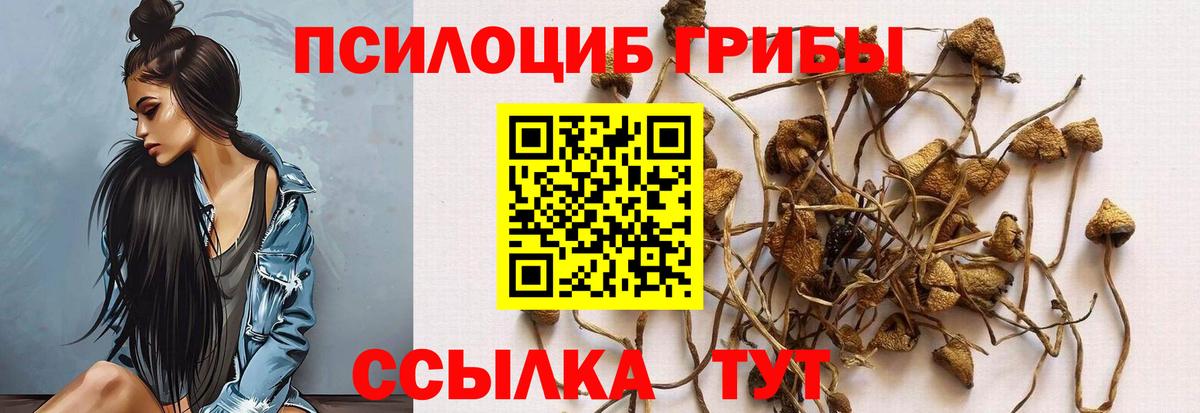 Шатура  КОКАИН  ЭКСТАЗИ  Где купить наркотики?  Вход с VPN  Codein  Бошки Шишки  Меф МЯУ МЯУ  